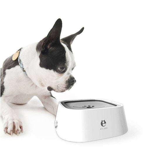 Pet water bowl for dogs and cats, 1.5L capacity, anti-overflow design, made by My Store, shown with water and pet accessories.