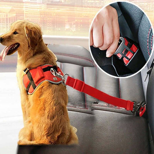Adjustable My Store pet dog car seat belt securing a dog safely in a vehicle for travel.