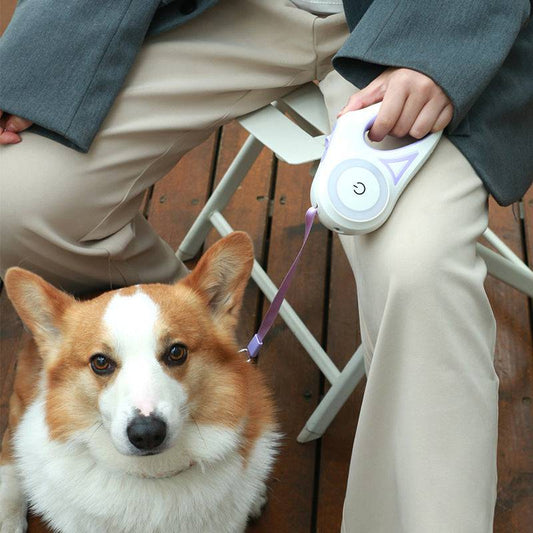 Retractable dog leash with built-in light for secure night walks, featuring adjustable length and durable handle.