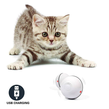LED laser cat toy ball from My Store, interactive electronic rolling toy designed to entertain and engage cats with flashing lights.