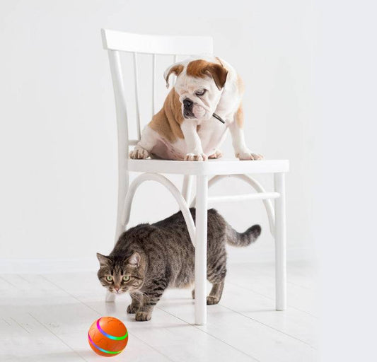 Self-rotating cat ball toy by My Store, interactive USB rechargeable pet toy with colorful spinning ball for cats to play with.