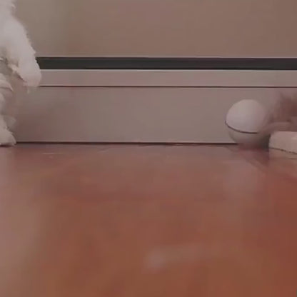 LED Laser Cat Toy Ball Interactive Electronic Rolling Toy for Cats